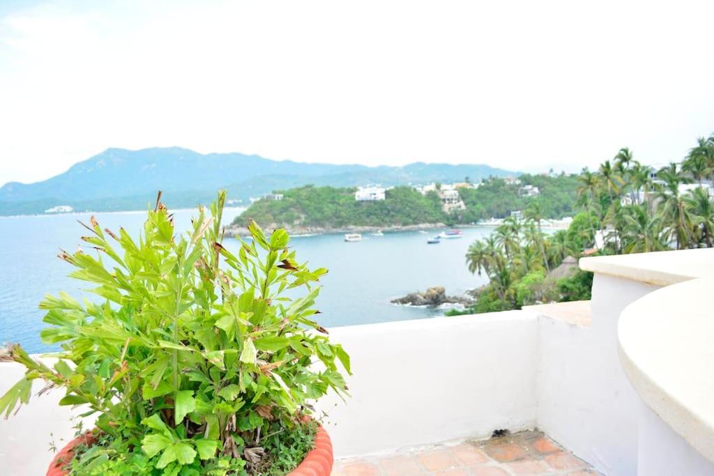 Vista Hermosa Lejlighed Manzanillo Eksteriør billede